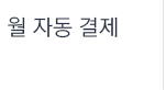 월 자동 결제